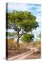 Awesome South Africa Collection - Savanna Landscape II-Philippe Hugonnard-Stretched Canvas