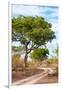 Awesome South Africa Collection - Savanna Landscape II-Philippe Hugonnard-Framed Photographic Print