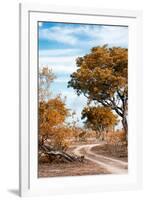 Awesome South Africa Collection - Savanna Landscape III-Philippe Hugonnard-Framed Photographic Print