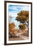 Awesome South Africa Collection - Savanna Landscape III-Philippe Hugonnard-Framed Photographic Print