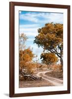 Awesome South Africa Collection - Savanna Landscape III-Philippe Hugonnard-Framed Photographic Print