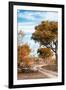 Awesome South Africa Collection - Savanna Landscape III-Philippe Hugonnard-Framed Photographic Print