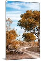 Awesome South Africa Collection - Savanna Landscape III-Philippe Hugonnard-Mounted Photographic Print