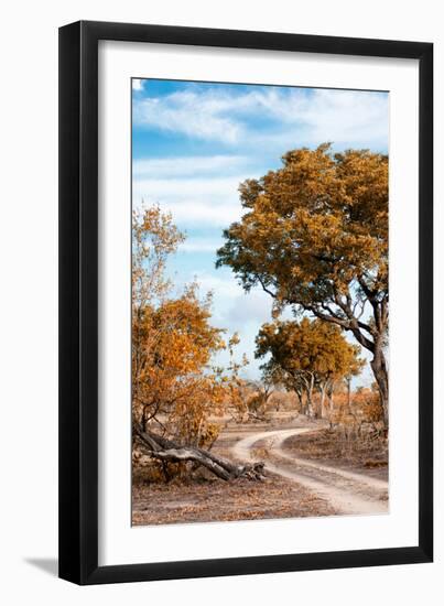 Awesome South Africa Collection - Savanna Landscape III-Philippe Hugonnard-Framed Photographic Print