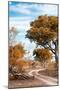 Awesome South Africa Collection - Savanna Landscape III-Philippe Hugonnard-Mounted Photographic Print