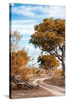 Awesome South Africa Collection - Savanna Landscape III-Philippe Hugonnard-Stretched Canvas