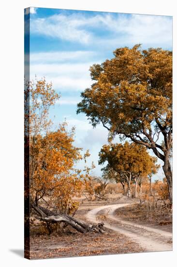 Awesome South Africa Collection - Savanna Landscape III-Philippe Hugonnard-Stretched Canvas