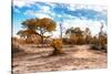 Awesome South Africa Collection - Savanna Landscape IX-Philippe Hugonnard-Stretched Canvas