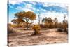 Awesome South Africa Collection - Savanna Landscape IX-Philippe Hugonnard-Stretched Canvas