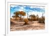 Awesome South Africa Collection - Savanna Landscape IX-Philippe Hugonnard-Framed Photographic Print