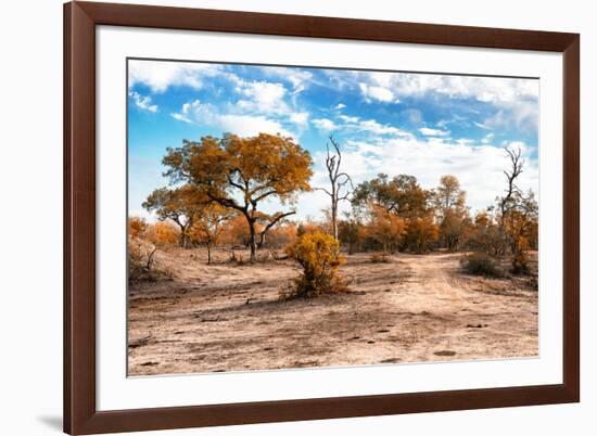 Awesome South Africa Collection - Savanna Landscape IX-Philippe Hugonnard-Framed Photographic Print