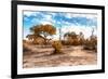 Awesome South Africa Collection - Savanna Landscape IX-Philippe Hugonnard-Framed Photographic Print