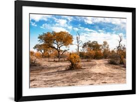 Awesome South Africa Collection - Savanna Landscape IX-Philippe Hugonnard-Framed Photographic Print