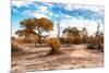 Awesome South Africa Collection - Savanna Landscape IX-Philippe Hugonnard-Mounted Photographic Print