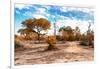 Awesome South Africa Collection - Savanna Landscape IX-Philippe Hugonnard-Framed Photographic Print