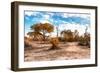 Awesome South Africa Collection - Savanna Landscape IX-Philippe Hugonnard-Framed Photographic Print