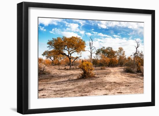 Awesome South Africa Collection - Savanna Landscape IX-Philippe Hugonnard-Framed Photographic Print