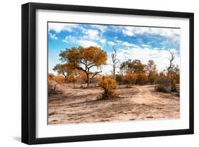 Awesome South Africa Collection - Savanna Landscape IX-Philippe Hugonnard-Framed Photographic Print