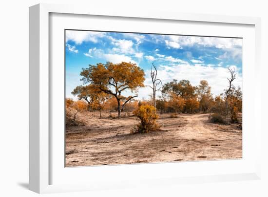 Awesome South Africa Collection - Savanna Landscape IX-Philippe Hugonnard-Framed Photographic Print