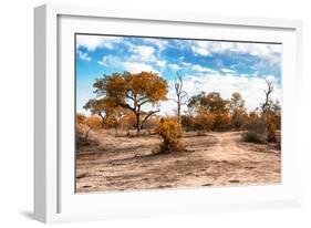 Awesome South Africa Collection - Savanna Landscape IX-Philippe Hugonnard-Framed Photographic Print