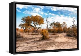 Awesome South Africa Collection - Savanna Landscape IX-Philippe Hugonnard-Framed Stretched Canvas