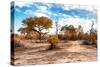 Awesome South Africa Collection - Savanna Landscape IX-Philippe Hugonnard-Stretched Canvas