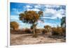 Awesome South Africa Collection - Savanna Landscape V-Philippe Hugonnard-Framed Photographic Print