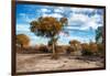 Awesome South Africa Collection - Savanna Landscape V-Philippe Hugonnard-Framed Photographic Print