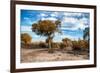 Awesome South Africa Collection - Savanna Landscape V-Philippe Hugonnard-Framed Photographic Print