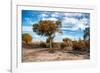 Awesome South Africa Collection - Savanna Landscape V-Philippe Hugonnard-Framed Photographic Print