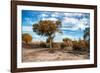 Awesome South Africa Collection - Savanna Landscape V-Philippe Hugonnard-Framed Photographic Print