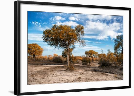 Awesome South Africa Collection - Savanna Landscape V-Philippe Hugonnard-Framed Photographic Print