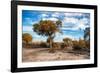 Awesome South Africa Collection - Savanna Landscape V-Philippe Hugonnard-Framed Photographic Print