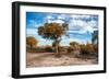 Awesome South Africa Collection - Savanna Landscape V-Philippe Hugonnard-Framed Photographic Print