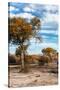 Awesome South Africa Collection - Savanna Landscape VII-Philippe Hugonnard-Stretched Canvas