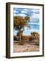 Awesome South Africa Collection - Savanna Landscape VII-Philippe Hugonnard-Framed Photographic Print
