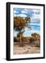 Awesome South Africa Collection - Savanna Landscape VII-Philippe Hugonnard-Framed Photographic Print