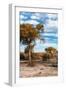 Awesome South Africa Collection - Savanna Landscape VII-Philippe Hugonnard-Framed Photographic Print