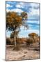 Awesome South Africa Collection - Savanna Landscape VII-Philippe Hugonnard-Mounted Photographic Print