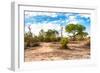 Awesome South Africa Collection - Savanna Landscape VIII-Philippe Hugonnard-Framed Premium Photographic Print