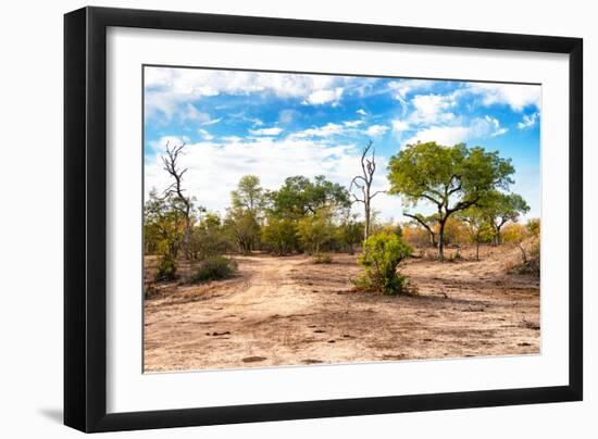 Awesome South Africa Collection - Savanna Landscape VIII-Philippe Hugonnard-Framed Photographic Print