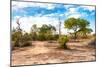 Awesome South Africa Collection - Savanna Landscape VIII-Philippe Hugonnard-Mounted Photographic Print