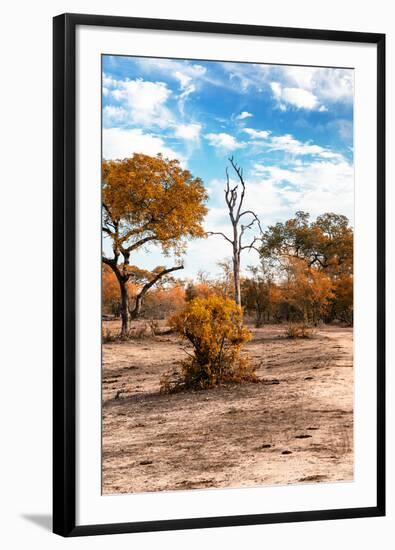 Awesome South Africa Collection - Savanna Landscape XI-Philippe Hugonnard-Framed Photographic Print