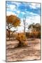 Awesome South Africa Collection - Savanna Landscape XI-Philippe Hugonnard-Mounted Photographic Print