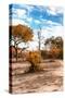 Awesome South Africa Collection - Savanna Landscape XI-Philippe Hugonnard-Stretched Canvas