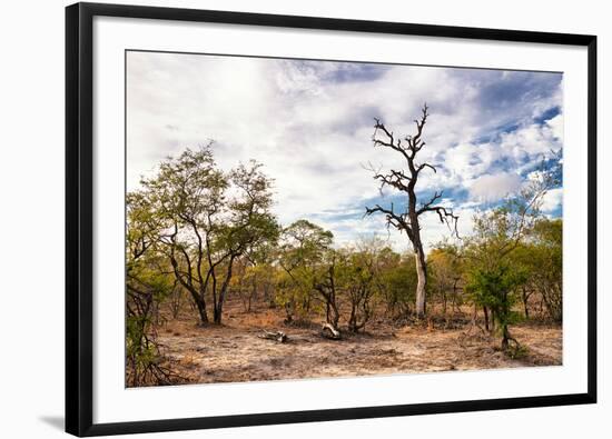 Awesome South Africa Collection - Savanna Landscape XII-Philippe Hugonnard-Framed Photographic Print