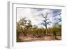Awesome South Africa Collection - Savanna Landscape XII-Philippe Hugonnard-Framed Photographic Print