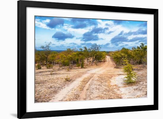 Awesome South Africa Collection - Savanna Landscape XIII-Philippe Hugonnard-Framed Photographic Print