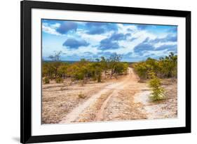 Awesome South Africa Collection - Savanna Landscape XIII-Philippe Hugonnard-Framed Photographic Print