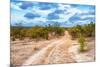 Awesome South Africa Collection - Savanna Landscape XIII-Philippe Hugonnard-Mounted Photographic Print